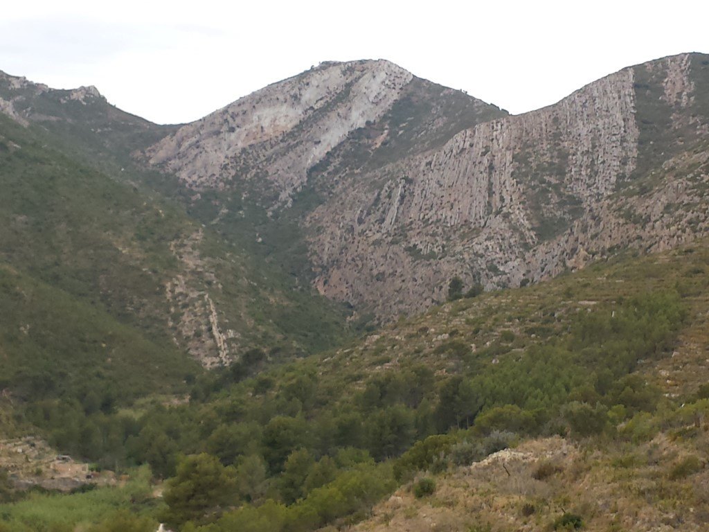 Se vende parcela en pedreguer con licencia de construccion - 12