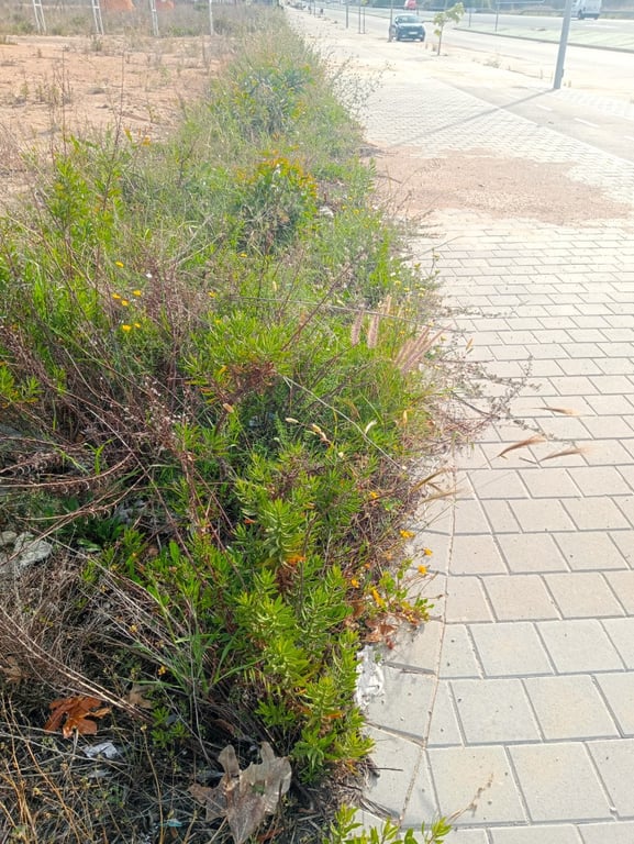 Property #RH20325 - 8