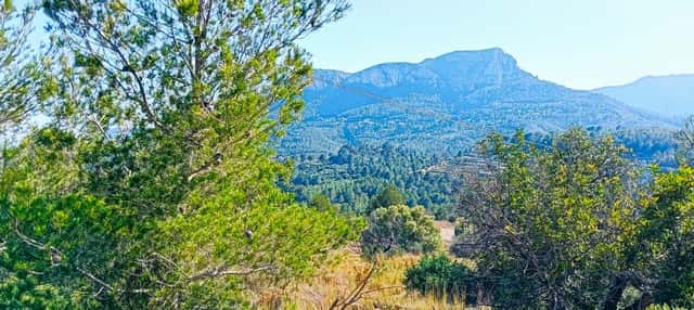 TERRENO RUSTICO DI 16.845 m² TRA BENISSA E CALPE CON VISTA SUL MARE