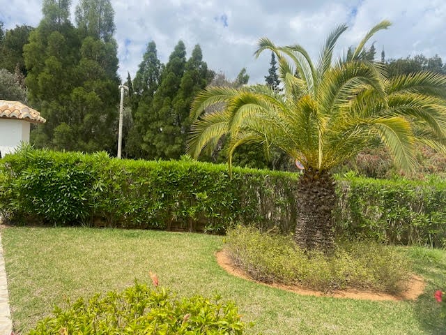 3-bed Villa in Jávea photo 5