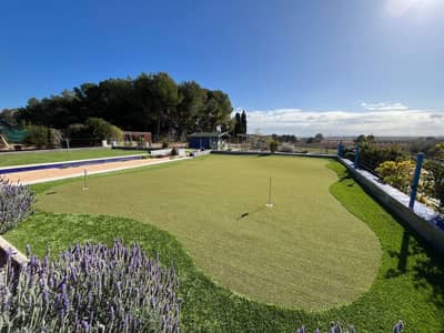 Property #TSR3234C - Image 5