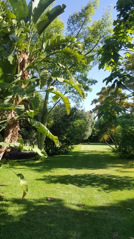 Ondara. Finca amplia en venta - 9