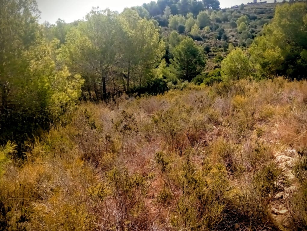 Se vende gran terreno rustico en Benitachell - 9