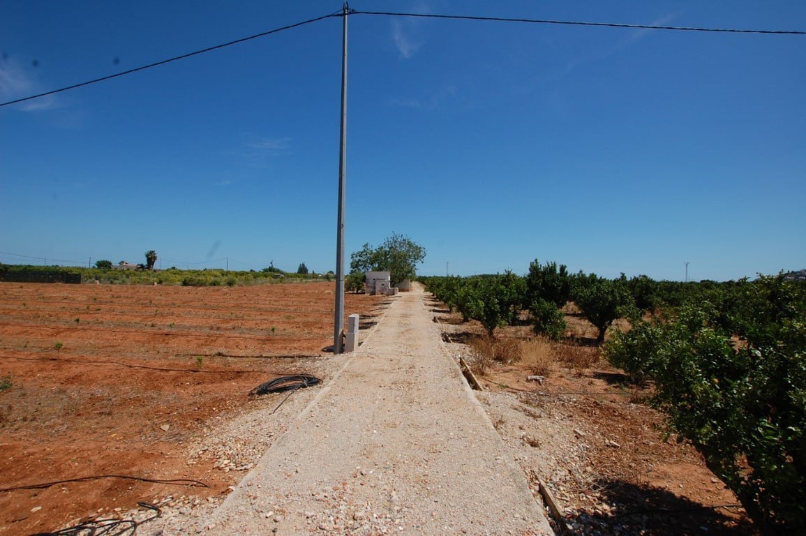 Terreny rústic de 22.000 metres quadrats a Pego - 4