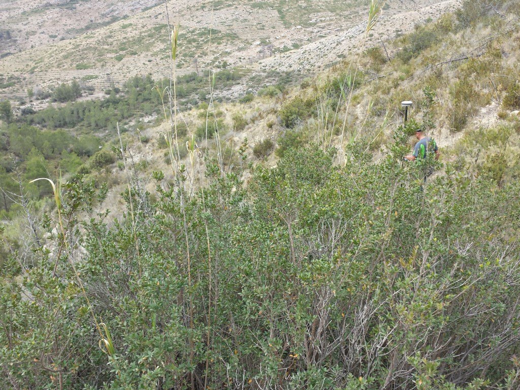 Se vende parcela en pedreguer con licencia de construccion - 24