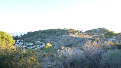 Property #TSR1463C - Image 4