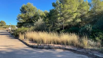 Property #TSR1517C - Image 4