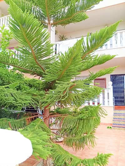 Property #TSR2804C - Image 4