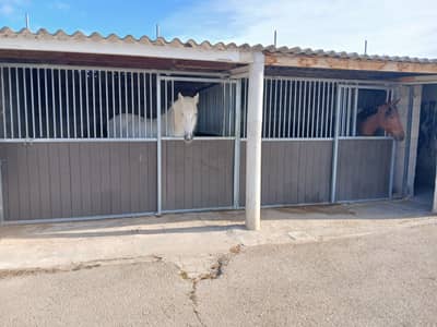 Property #TSR3579C - Image 3