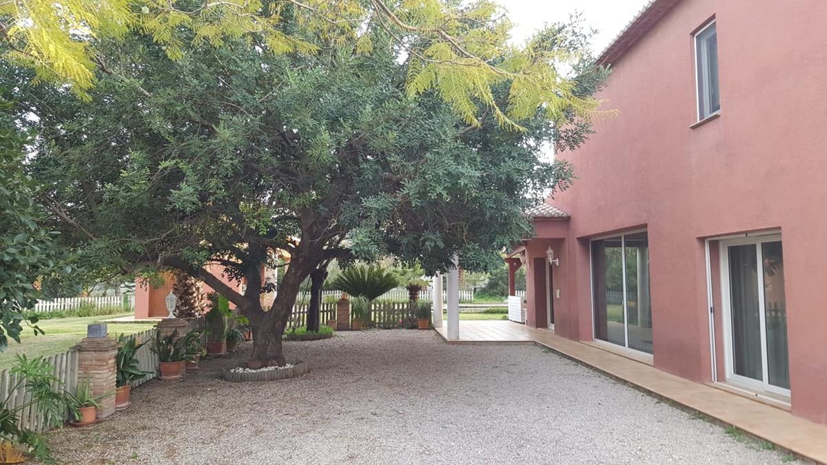 Ondara. Finca amplia en venta - 5