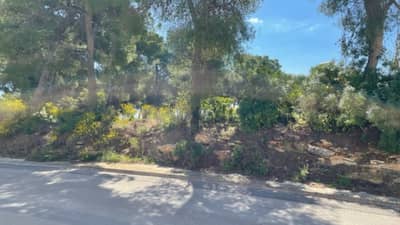 Property #AD 294 - Image 2