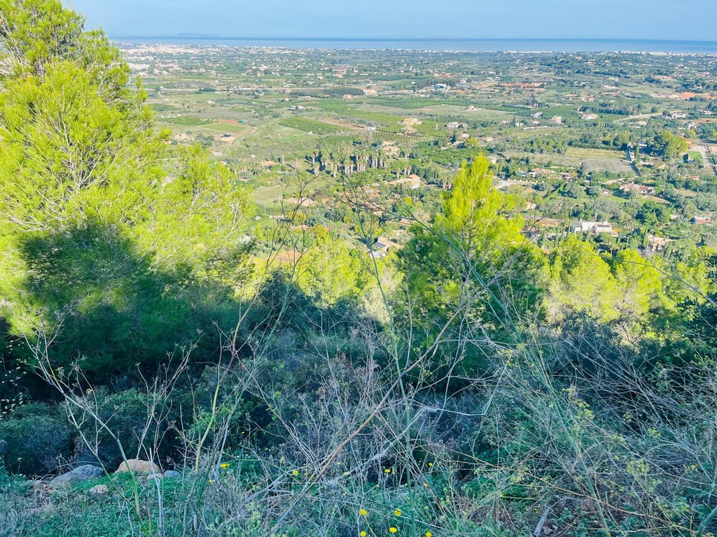 Villa in Pedreguer photo 8