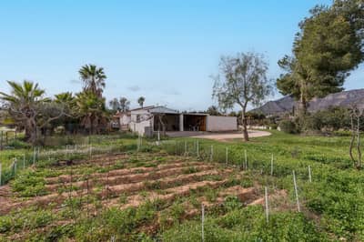 Property #TSR3581C - Image 4