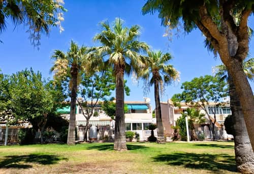 Bungalow met 2 slaapkamers in Orihuela Costa — foto 28