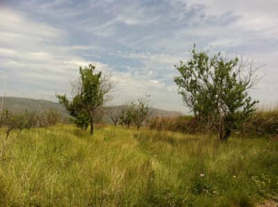 Property #TSR1178C - Image 4