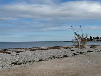 Property #TSR1496C - Image 2