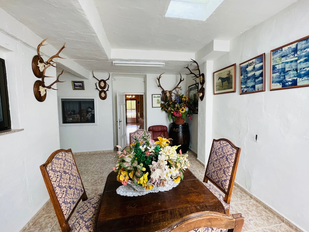 Pedreguer. Casa de campo amplio con piscina en venta - 48