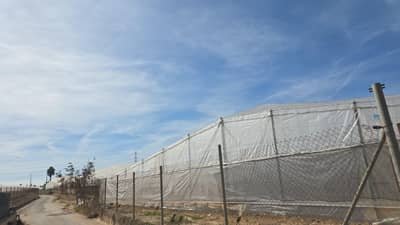 Property #TSR3589C - Image 2