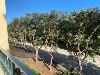 Property R4719355 - Image 5