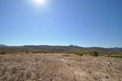 Property #TSR3461C - Image 2