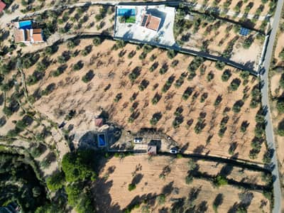 Property #TSR3540C - Image 4