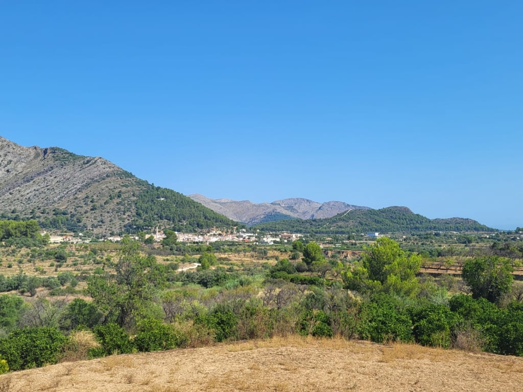 Atractiva parcela de 15.000m2 en venta con Luz y Pozo de agua natural - 10