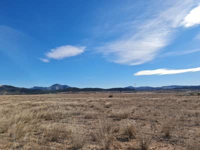 Property #TSR3383C - Image 3