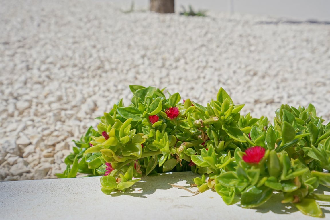 Property #RH21269 - 49