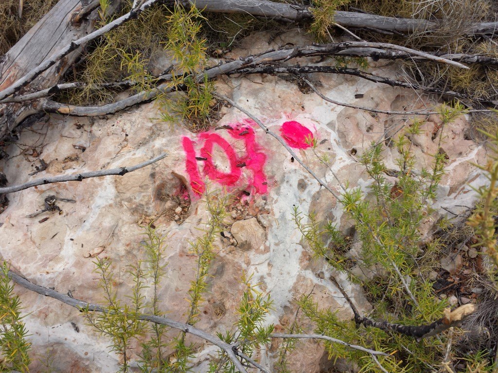 Se vende parcela en pedreguer con licencia de construccion - 5