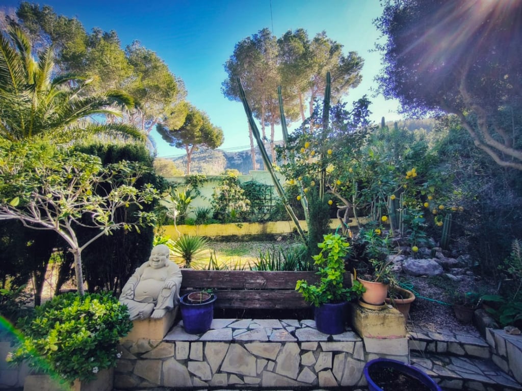 Chalet de 3 habitaciones en la Marquesa, Dénia - 49