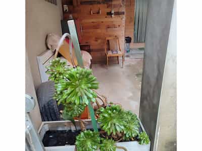   Local en venta Burjassot 5