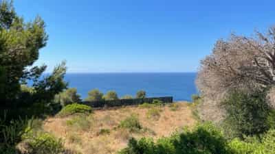Property #AD 295 3