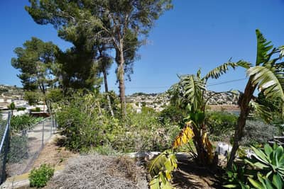 Property #TSR1169C - Image 5