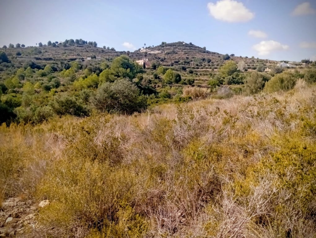 Se vende gran terreno rustico en Benitachell - 5