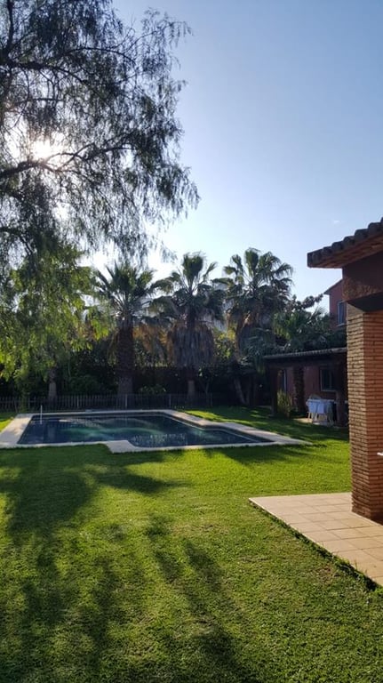 Ondara. Finca amplia en venta - 7