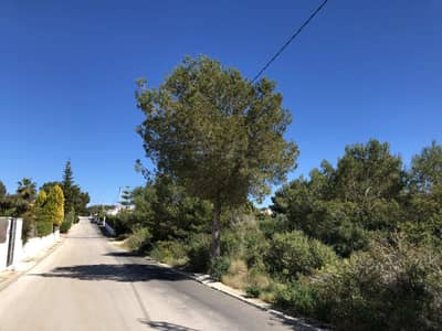 Property #AD 105 - Image 5