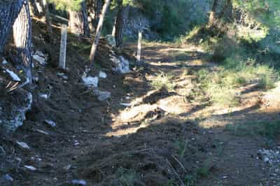 Property R4142221 3