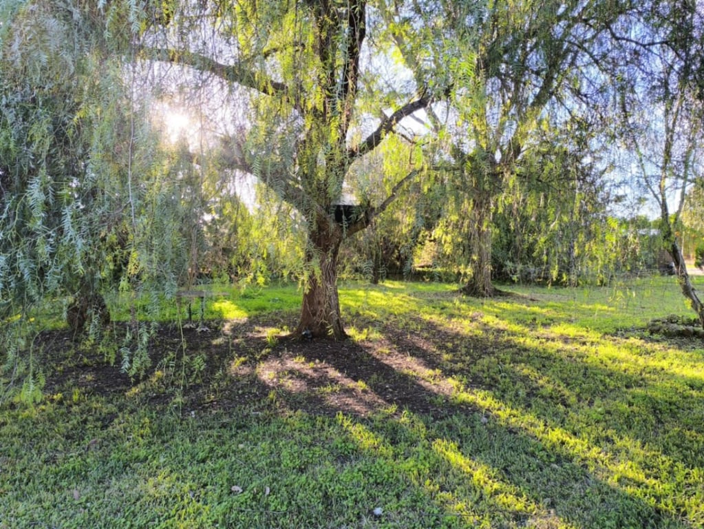 Villa en venta en Ondara con gran parcela llana y dos viviendas independientes - 5