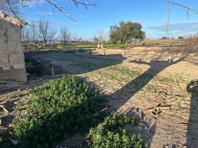 Property #TSR1779C - Image 2