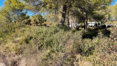 Property #TSR1427C - Image 3