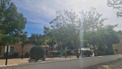 Property #TSR3108C - Image 3