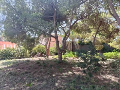 Property #TSR3463C - Image 5