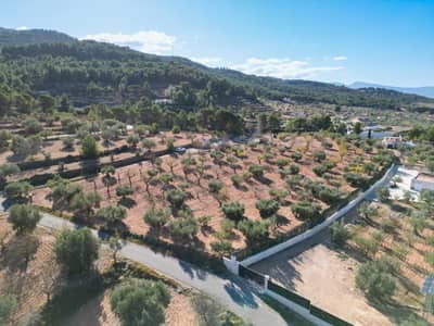 Property #TSR3540C - Image 2