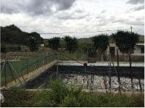 Property #TSR1834C - Image 4