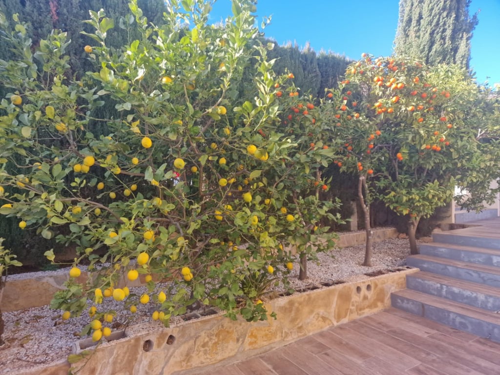 Villa con vistas espectaculares al mar - 24