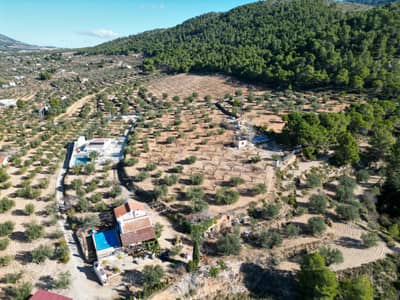 Property #TSR3540C - Image 5