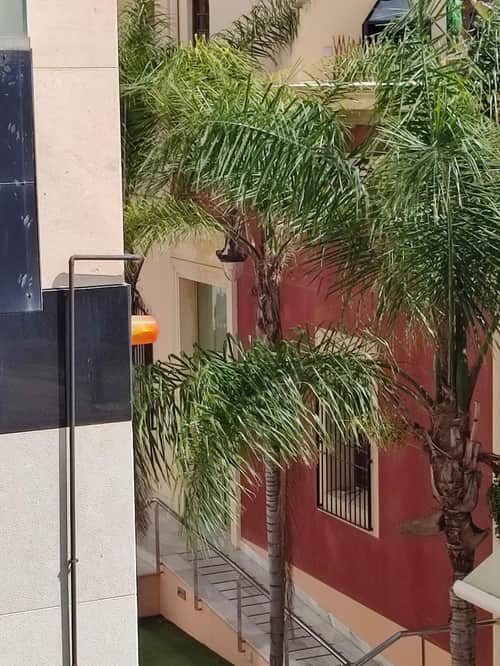 Appartement met 4 slaapkamers in Orihuela — foto 20
