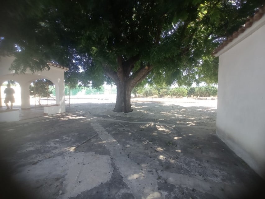 Chalet en venta en las marinas con amplia parcela y piscina - 14