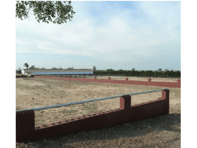 Property #TSR2142C - Image 5