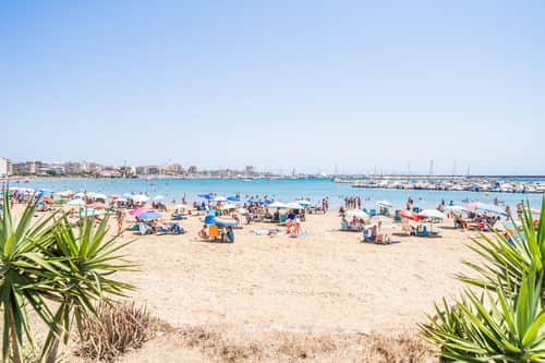 Appartement met 2 slaapkamers in Torrevieja — foto 34